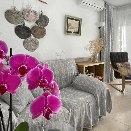 Апартаменты Orquidea Con Piscina